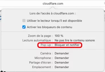 Capture d’écran.webp