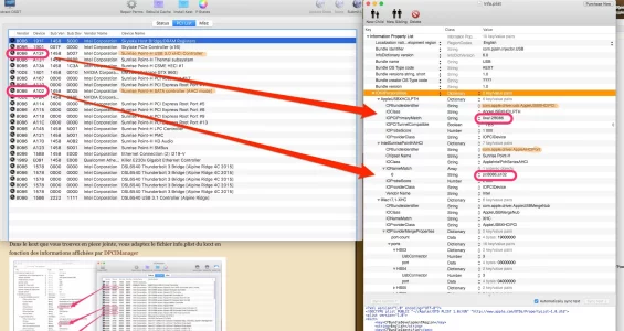 PlistEdit et DPCI Manager.webp