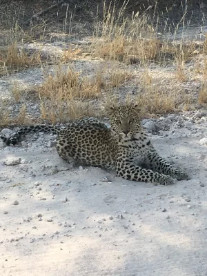 2018 Namibie.webp