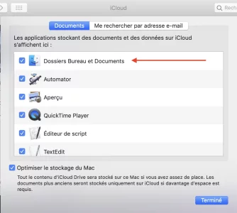 Preferences System iCloud.webp