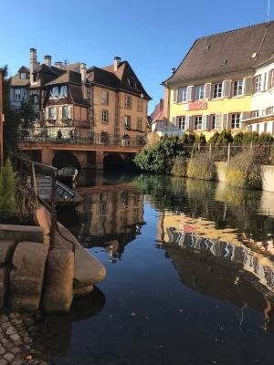 colmar.webp