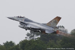 Tiger meet 2019.1.jpg