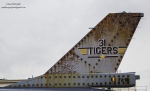 Tiger meet 2019.2.jpg