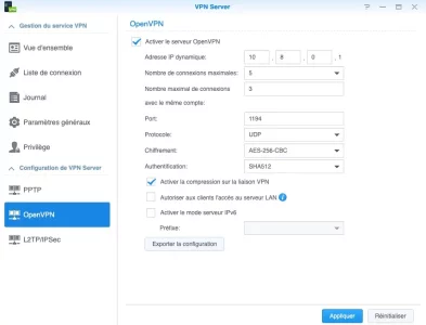 Interface NAS - Open VPN01.webp