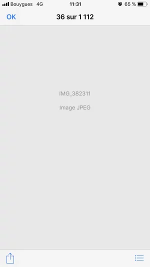 IMG_4567.webp