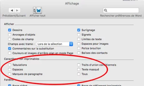 Capture d’écran.webp