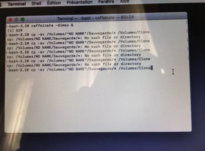 311CF30D-7E37-4ACC-9C76-4FBE34F4D9AB.webp