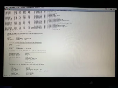 image.webp image.webp