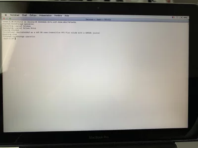 image.webp image.webp