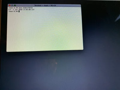 D7946E0B-23AC-48E2-B74D-8A37D5C0C519.webp