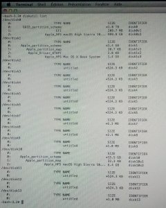 diskutil list.jpg