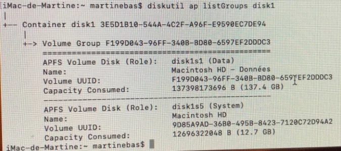 diskutil ap listGroups disk1.webp