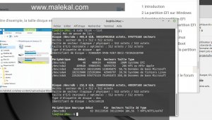 Capture Linux list fdisk lst iMac Malekal.jpg