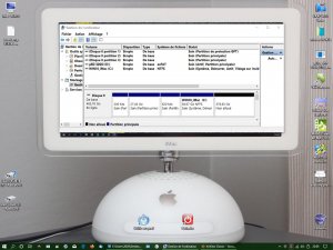 ecran bureau Tournesol & infos HDD 620Mo après Lion.jpg
