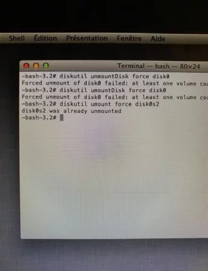 1BF40782-9413-4C3B-AB29-9D1112E5AF7C.webp