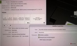 partitions après Lion vue Docus via Mint.jpg
