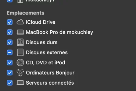 Capture d’écran 2020-01-20 à 05.52.58.webp
