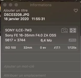 Capture d’écran 2020-01-28 à 14.09.46.jpg