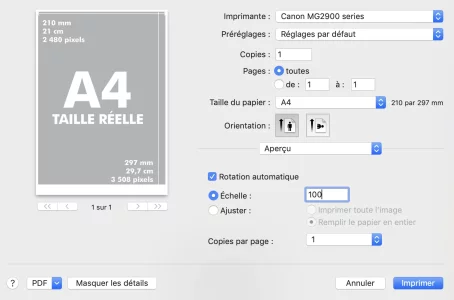 Capture d’écran 2020-01-29 à 17.21.29.webp