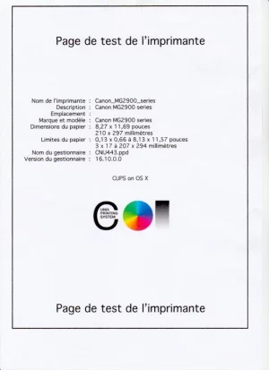 test.webp