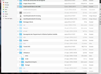 Capture.webp