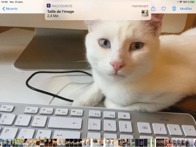 95F4AF0F-0254-46D6-B01E-53D37AE3F68F.webp