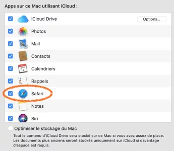 Capture d’écran 2020-01-31 à 17.59.23.png