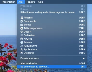 Capture d’écran 2020-02-07 à 20.46.54.webp