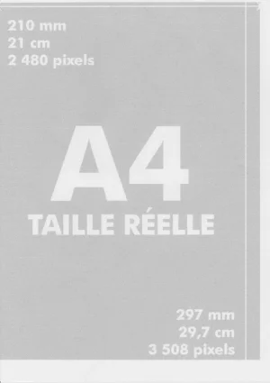 A444.webp