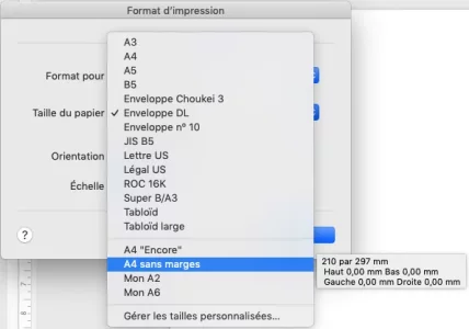 Capture d’écran.webp