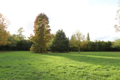 campagne-2.jpg
