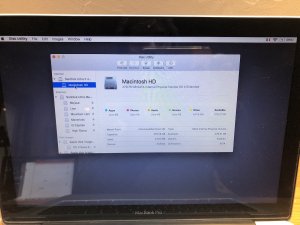 IMG_8563.JPG