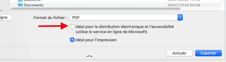 Capture d’écran.webp