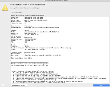 Capture d’écran 2020-02-20 à 15.04.20.webp