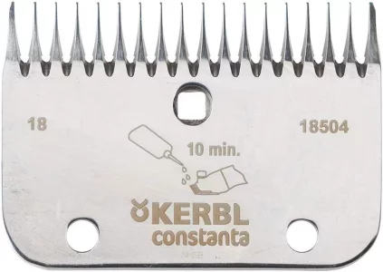 81aS31zIr5L._AC_SL1500_.webp