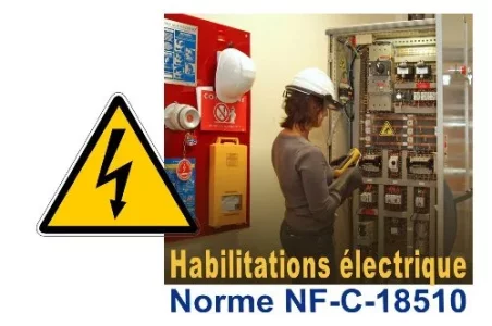 reduit logo norme nfc (300dpi).webp