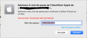 Capture d’écran 2020-03-01 à 16.58.13.png