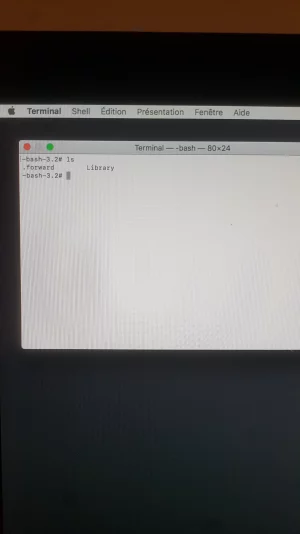 15833447894688068048888146161077.webp