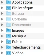 Capture d’écran.webp