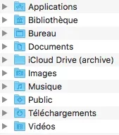 Capture d’écran.webp