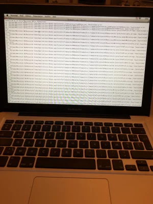 image.webp