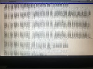FB19BE5C-CEEC-4B26-872E-B88D80E4ACC3.jpeg