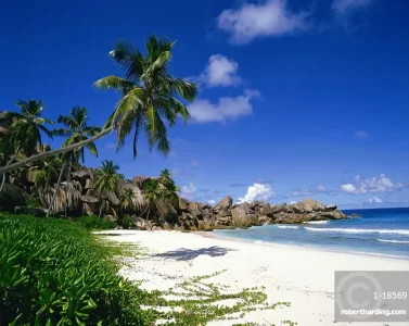 Copie de 15552000.webp