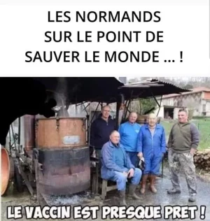 Normands.webp