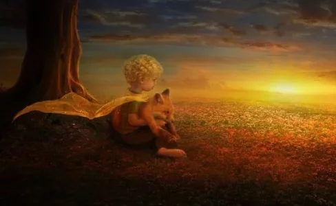 soleil.webp