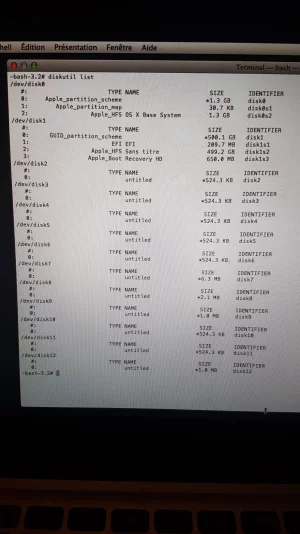 résultat diskutil list.webp