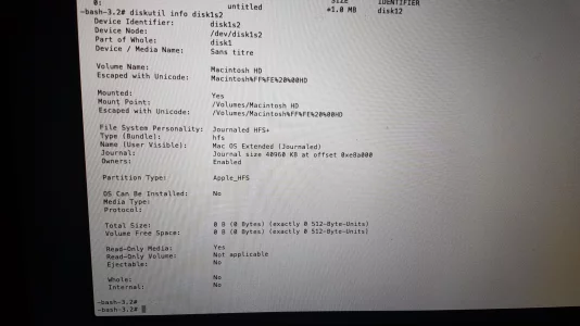 diskutil info 1s2.webp