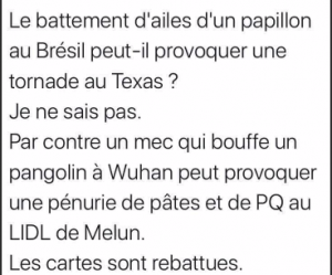 Capture d’écran 2020-03-23 à 14.44.51.png