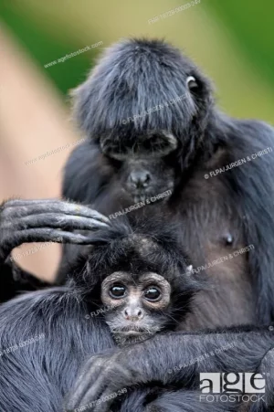 Copie de fhr-18728-00003-249.webp