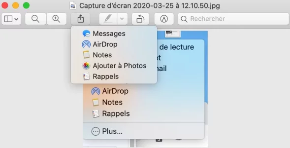 Capture d’écran 2020-03-25 à 12.13.53.webp
